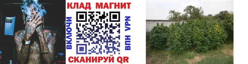 Где продают наркотики Курск Гашиш  АМФ  Меф мяу мяу  Alpha-PVP 