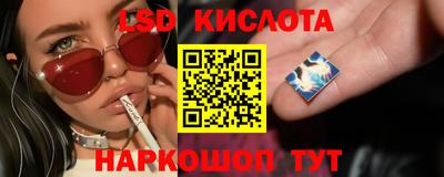 ГАЛЛЮЦИНОГЕННЫЕ ГРИБЫ Донской