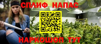 ГАЛЛЮЦИНОГЕННЫЕ ГРИБЫ Донской